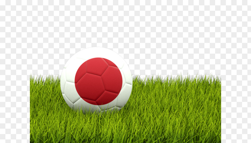 Japan Football Nottingham Forest F.C. American Pakistan Federation Association Of Serbia PNG