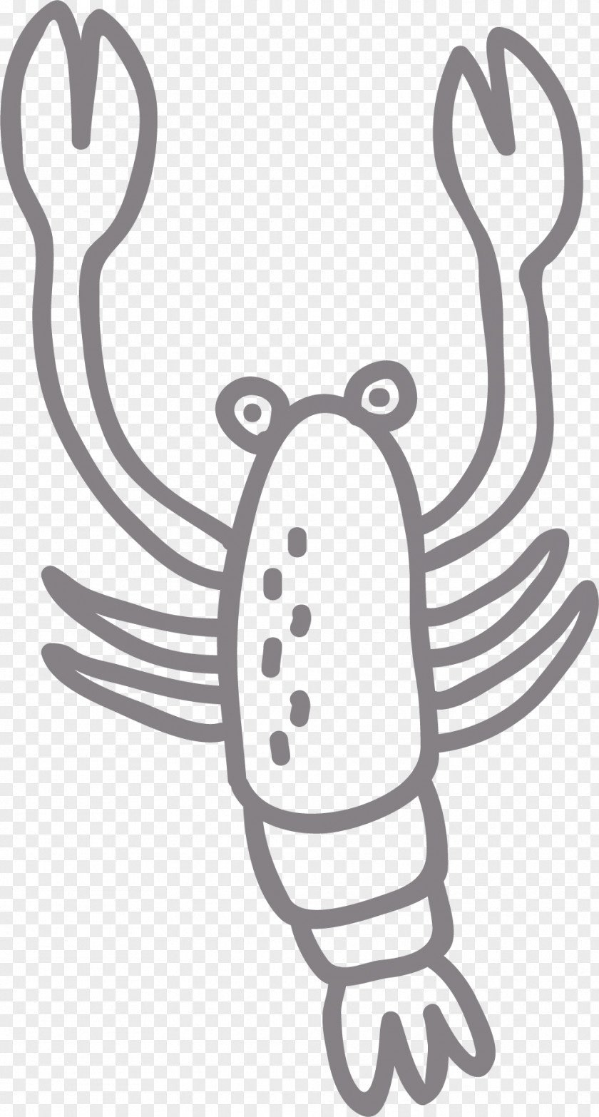 Line Prawns Lobster Shrimp And Prawn As Food PNG