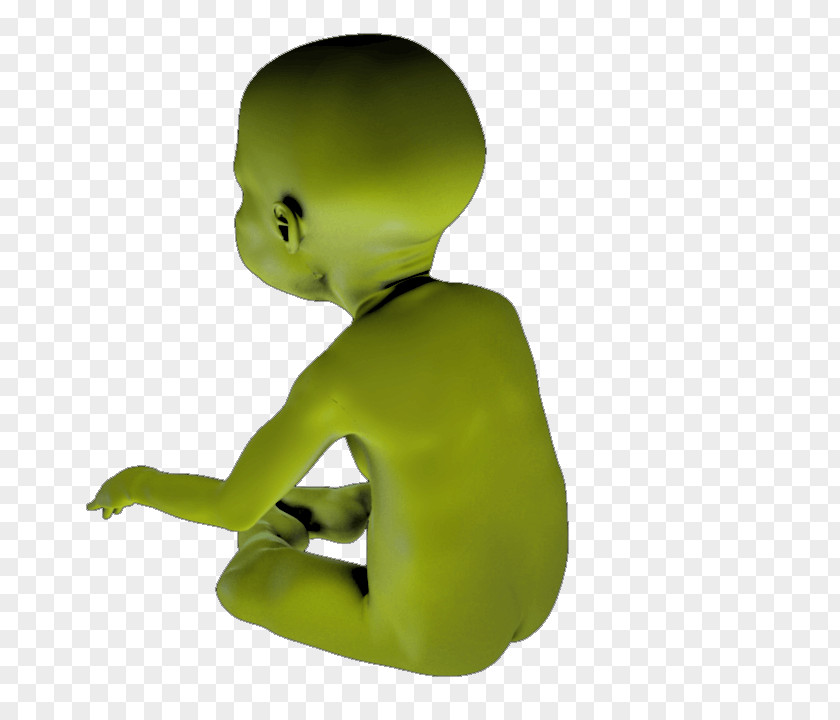 Print-ready Green Figurine Organism PNG