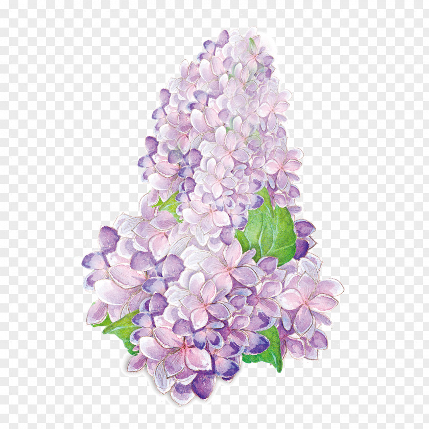 Purple Blossom PNG