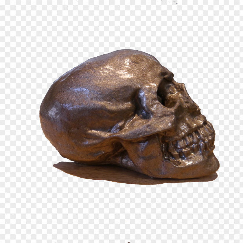 Skull Bronze Sculpture PNG
