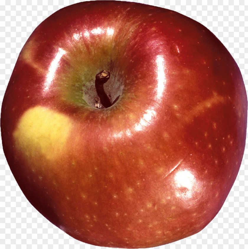 Apple Clip Art McIntosh Red Fruit PNG