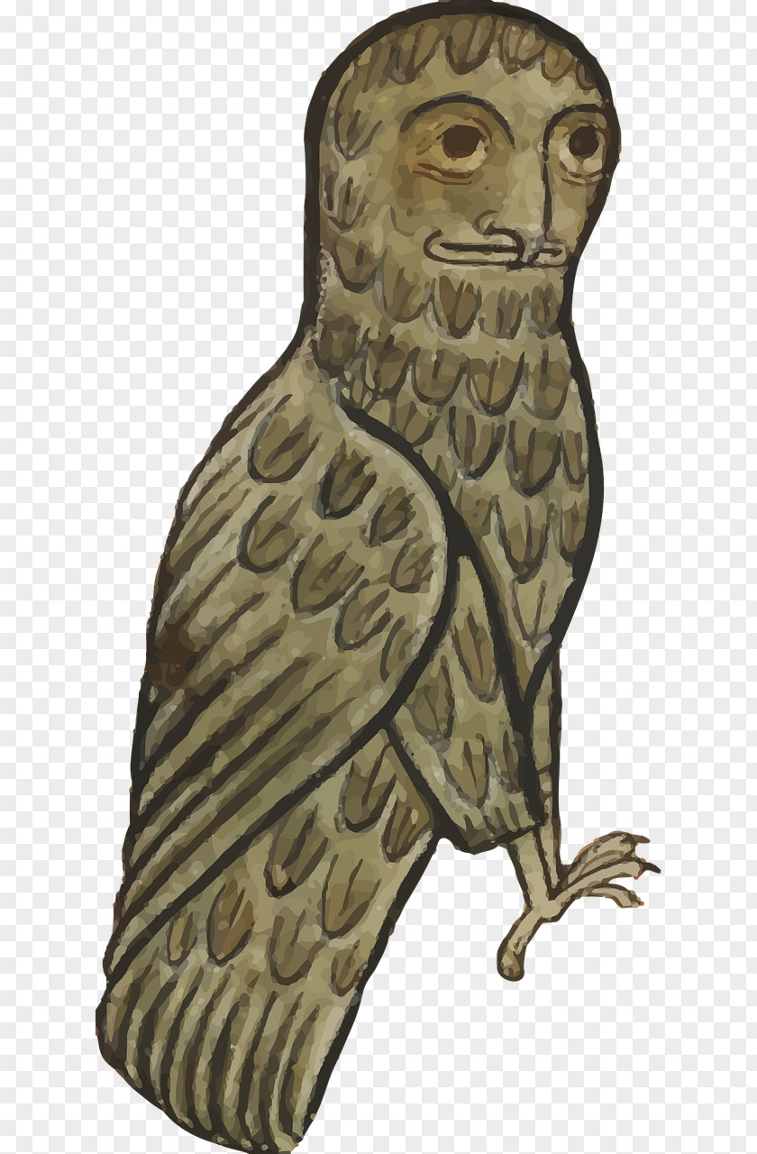 Brown Spots Sparrow Middle Ages Owl Library PNG