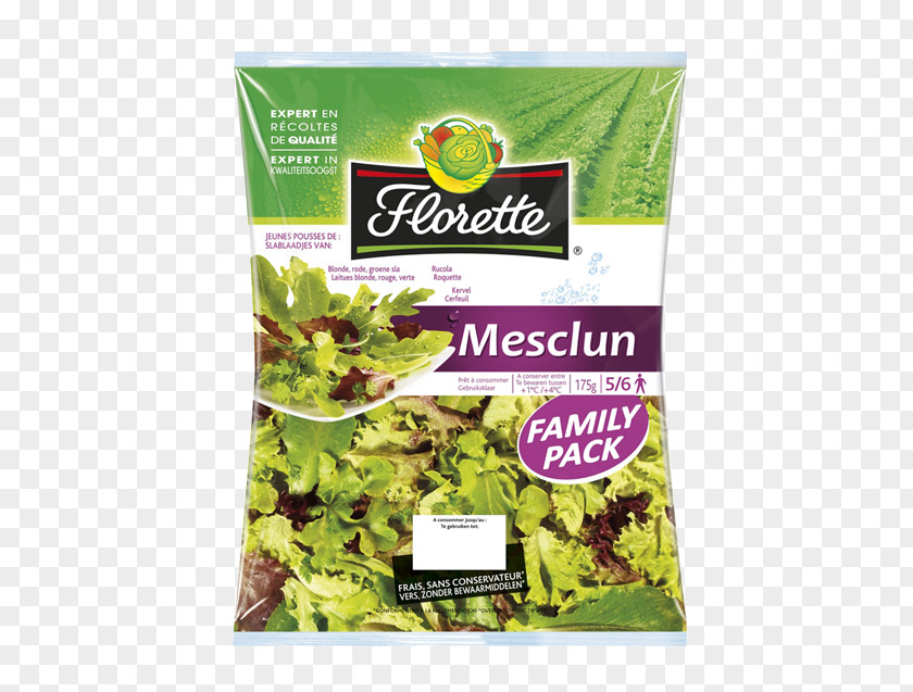 Laitue Lettuce Spring Greens Vegetarian Cuisine Food Herbalism PNG