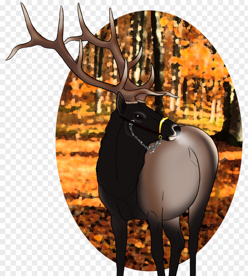 Reindeer Elk Antler Wildlife PNG