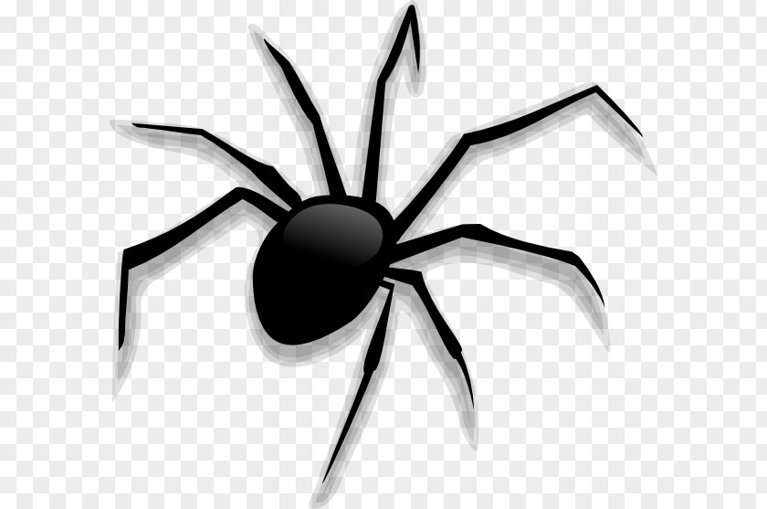 Scary Spider Cliparts Cartoon Clip Art PNG