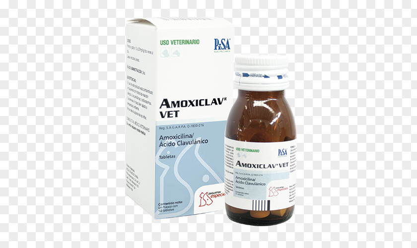 ANEXO Amoxicillin/clavulanic Acid Veterinary Medicine Penicillin PNG
