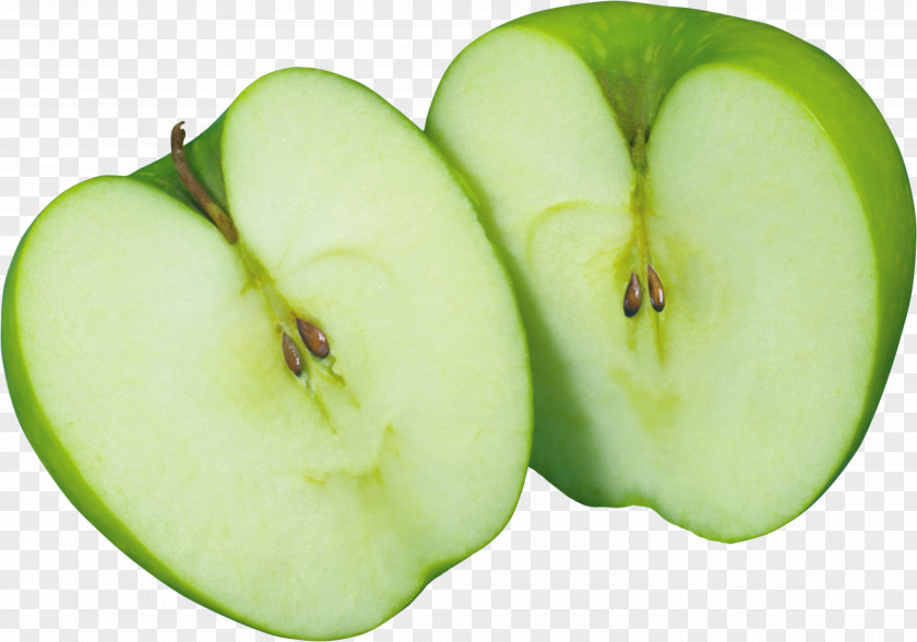 Apple Granny Smith Paradise Clip Art PNG