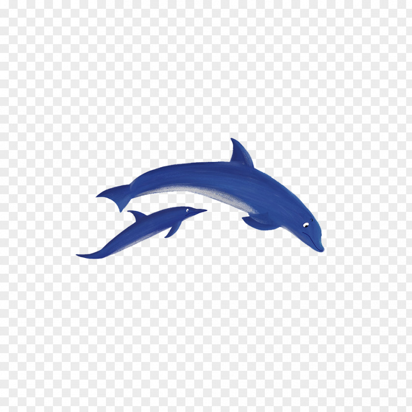 Blue Dolphin Common Bottlenose Tucuxi Porpoise PNG