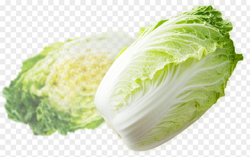 Chinese Cabbage Romaine Lettuce Napa Cruciferous Vegetables Savoy Asazuke PNG