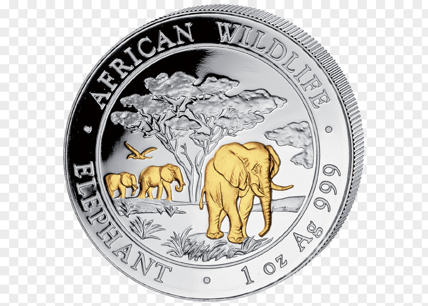 Coin African Elephant Silver Indian Elephantidae PNG