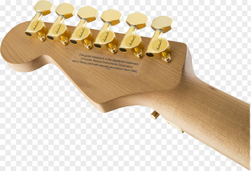 Electric Guitar Def Leppard Acoustic Guitarist PNG