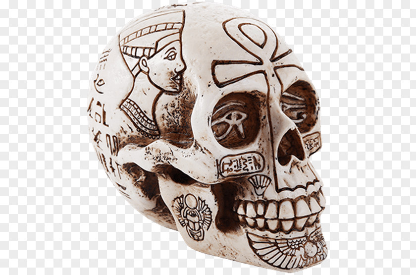 Skull Ancient Egypt Beelzebub Ankh Egyptian PNG
