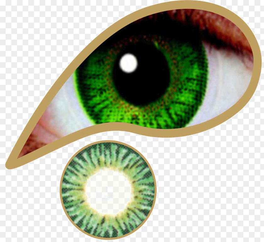 Emerald Contact Lenses Green Color PNG