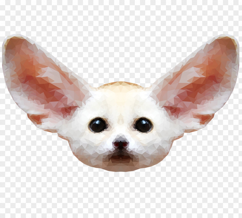 Fennec Fox Free Download Chihuahua Red Puppy PNG