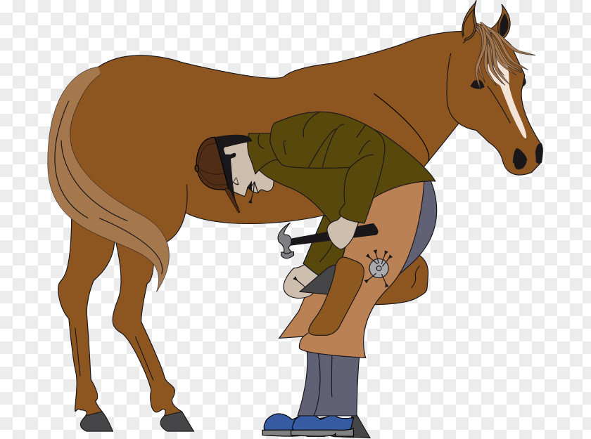 Horse Horseshoe Farrier Clip Art Vector Graphics PNG