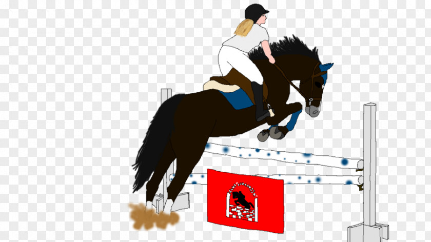 Horse Jumping Show Stallion Hunt Seat Mustang Rein PNG