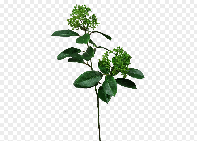 Leaf Flowerpot Plant Stem Herb PNG