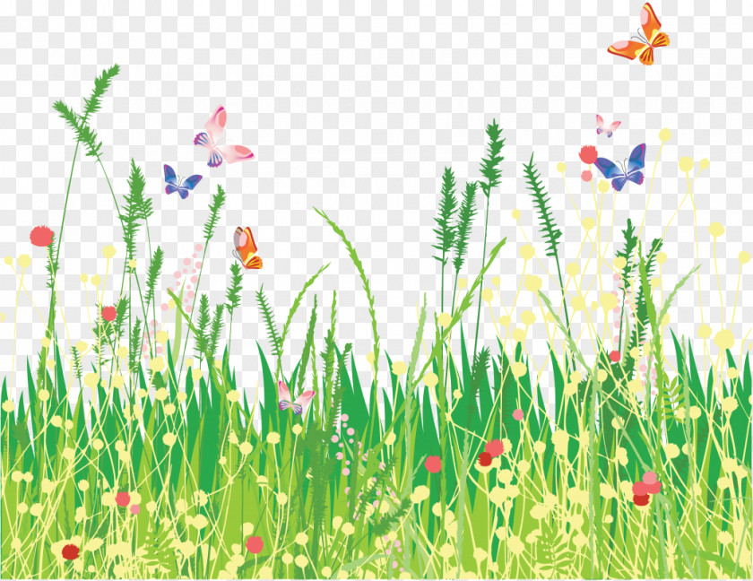A Beautiful Butterfly And Grass Flower Child Ozouer-le-Voulgis Website Organization PNG