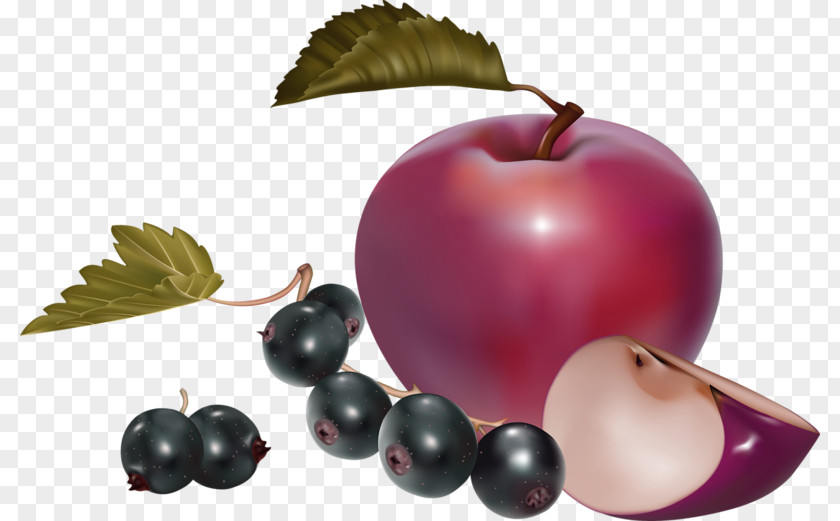 Cartoon Apple Blueberry Decoration Pattern Nutrition Health Food Healthy Diet Clip Art PNG