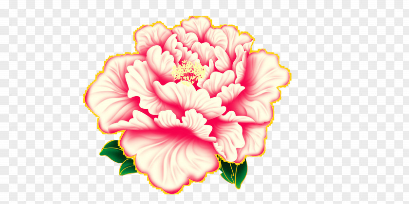 Chinese New Year Peony HD Free Matting Material Moutan Flower Sina Weibo Avatar PNG