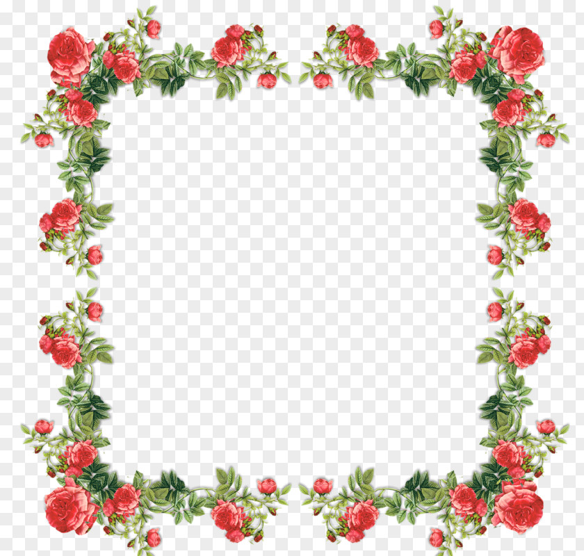 Flower Picture Frames Paper Floral Design Decorative Arts PNG