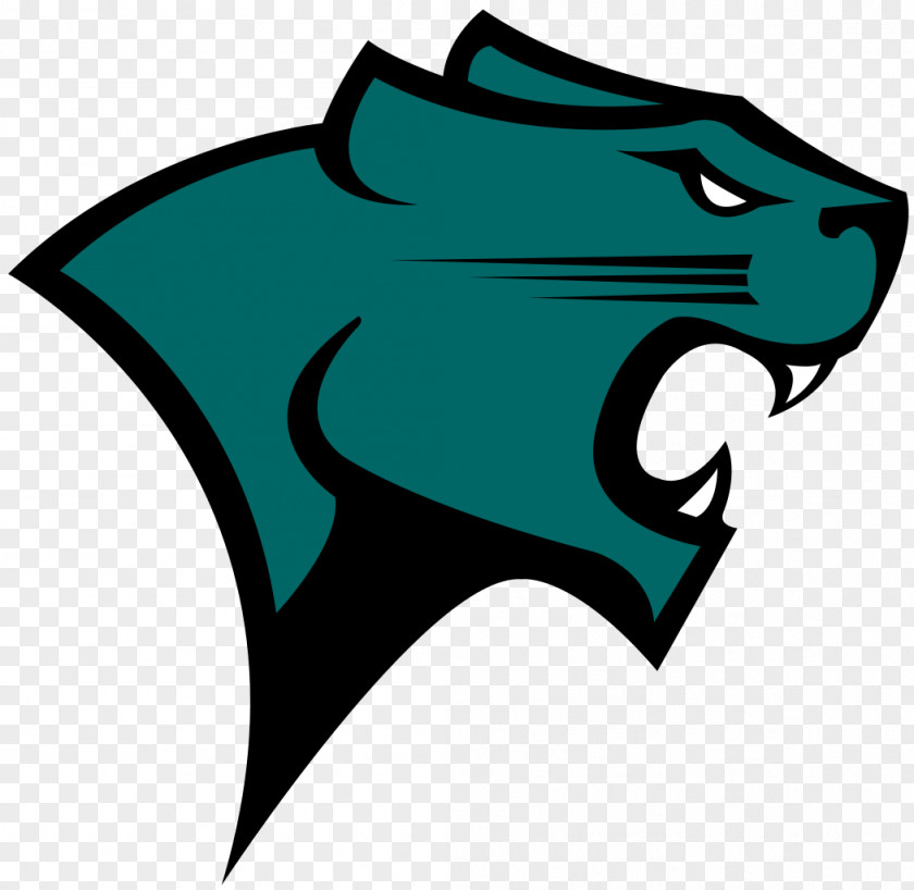 Identify Chicago State University Of Illinois At Cougars Men's Basketball Women's DePaul PNG