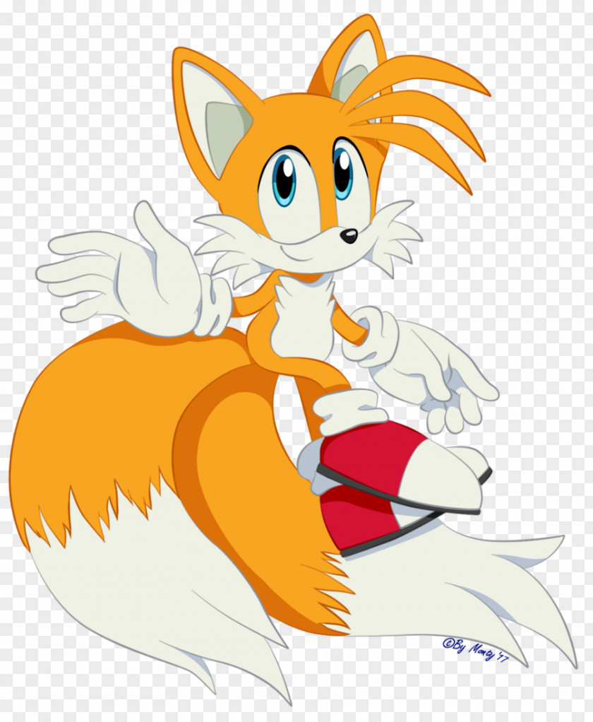 Tails Sonic The Hedgehog Chaos Whiskers Red Fox PNG