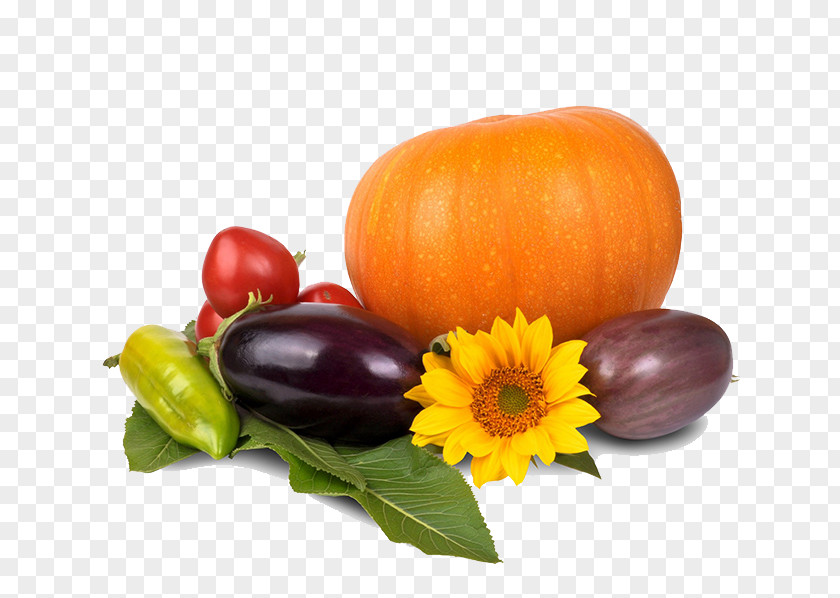 Thanksgiving Pumpkin Image Organic Food Vegetarian Cuisine Health Diet Veganism PNG