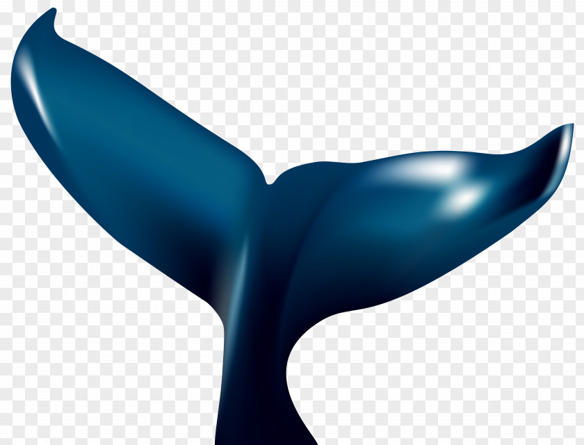 Whale Tale Transparent Clip Art Image Tail Humpback PNG