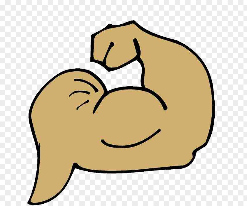 Arm Muscle Arms Biceps Clip Art PNG