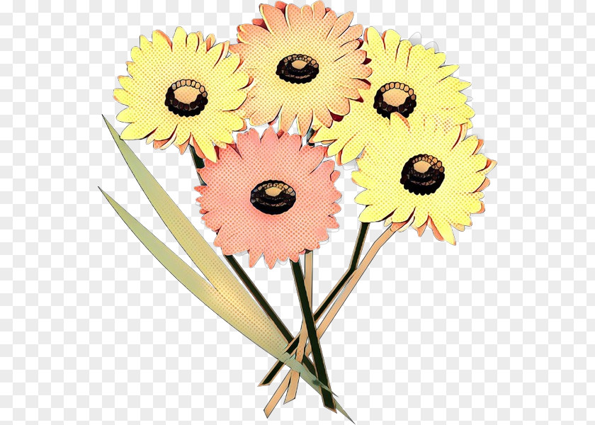 Common Sunflower Cut Flowers Transvaal Daisy Floral Design PNG