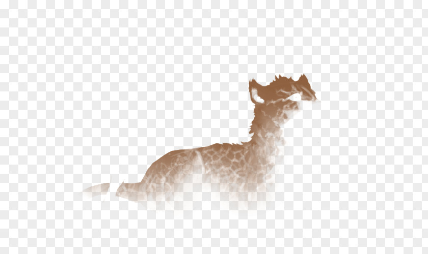 Crackle Deer Llama Camel Dog Animal PNG