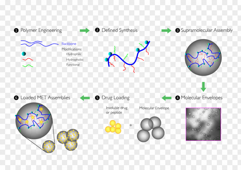 Drug-delivery Polymer Technology Molecule Hydrophile Molecular Property PNG