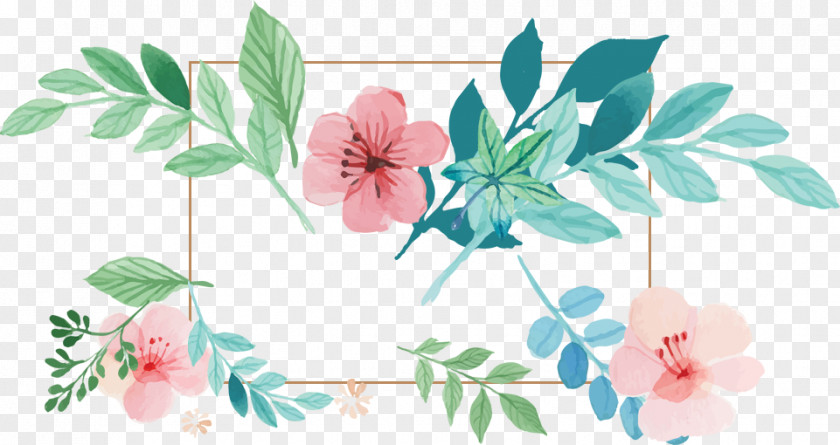 Flower Framework Floral Design Petal Rose Family Shrub PNG