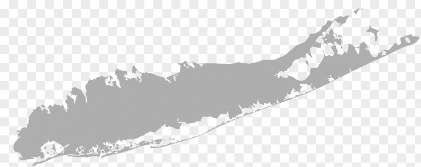 Island Queens Brooklyn New York Communities For Change Suffolk County Map PNG