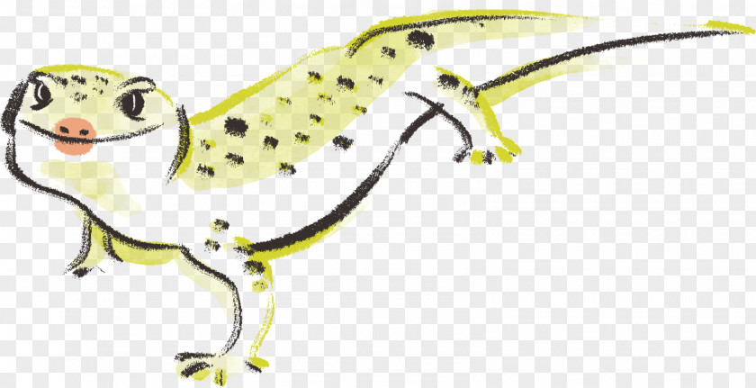 Leopard Gecko Lizard Frog Line Art Character Clip PNG