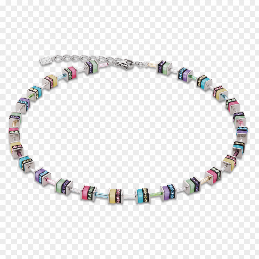 Lion Jewellery Earring Necklace Bracelet PNG