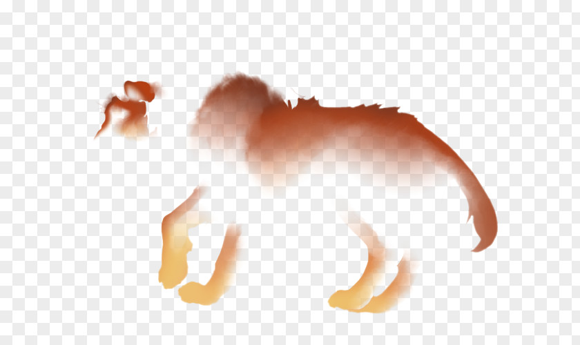 Mist Shrouded Canidae Dog Desktop Wallpaper Finger Computer PNG