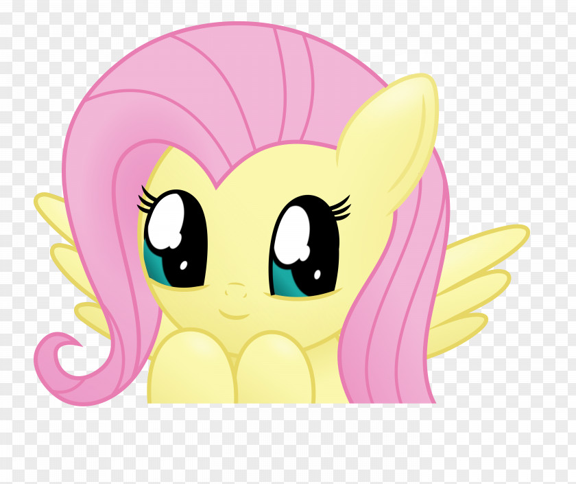 My Little Pony Rainbow Dash Twilight Sparkle Pinkie Pie Rarity Applejack PNG