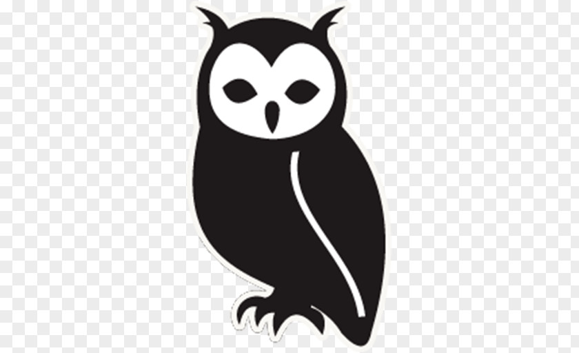 Owl Bird Clip Art PNG