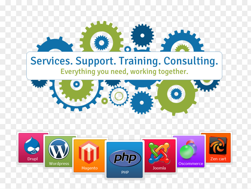 Software Development Web Computer Information Technology Application PNG