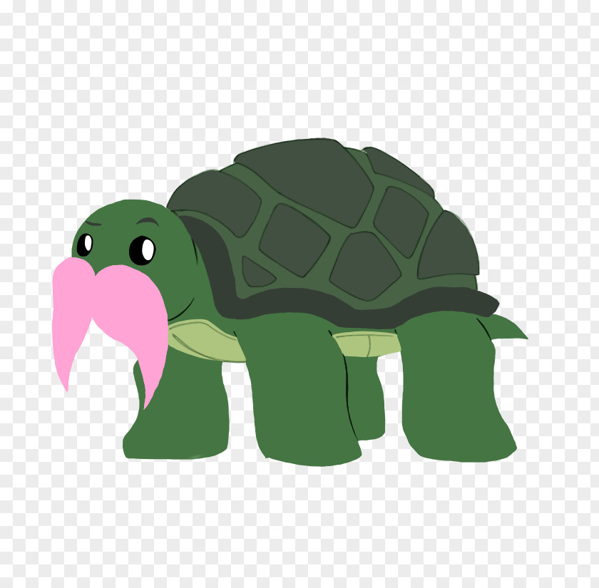 Tortoide Turtle Reptile Animation Giphy PNG
