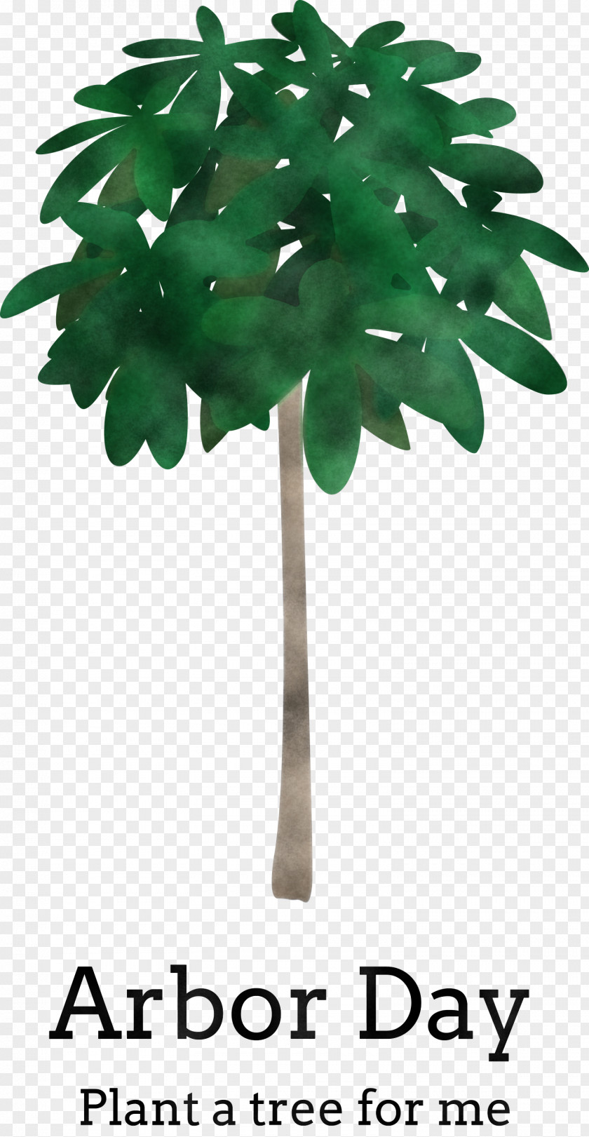 Arbor Day Green Earth PNG