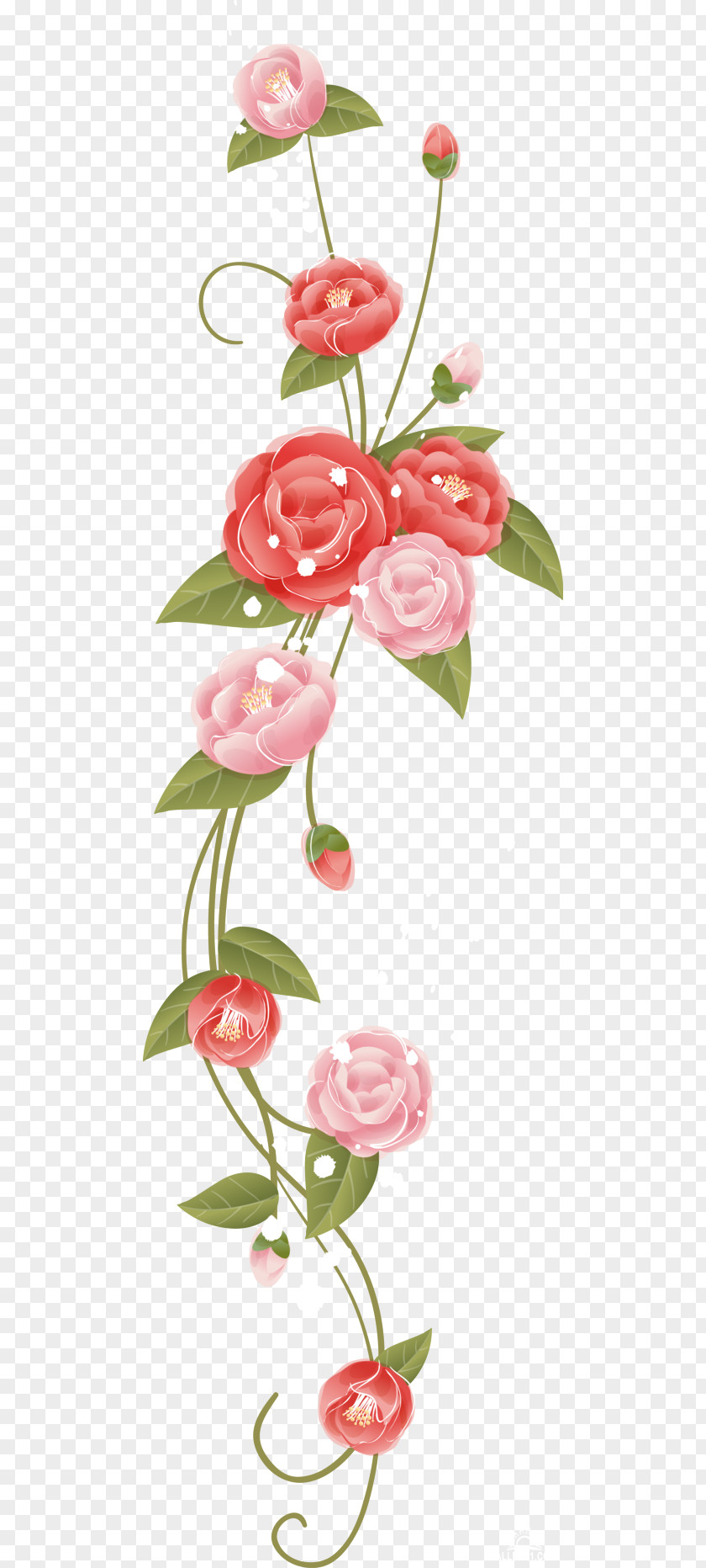 Beautiful Flower Garden Roses PNG