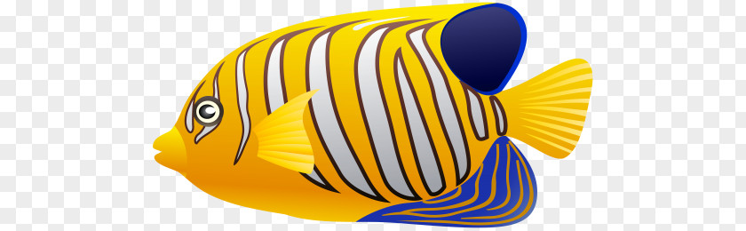 Fish Fin Clip Art PNG