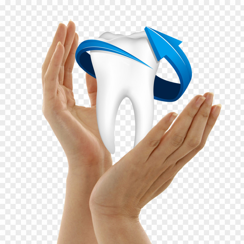 Hands Holding Teeth Mouthwash Tooth Whitening Dentistry Health Care PNG