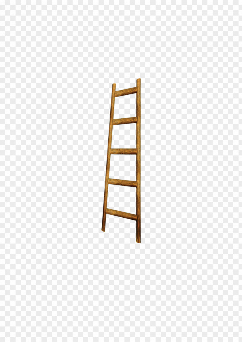 Ladders Ladder PNG