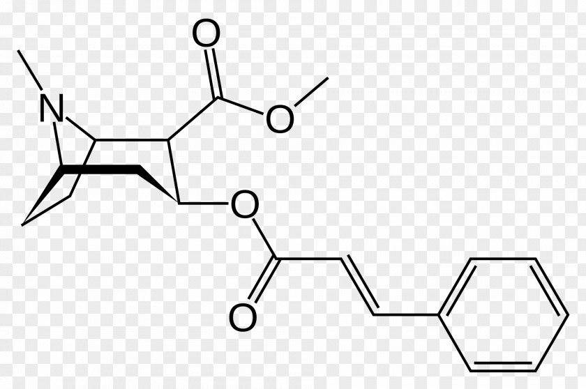 Methylecgonine Cinnamate Tropane Alkaloid Structure Erythroxylum Coca PNG
