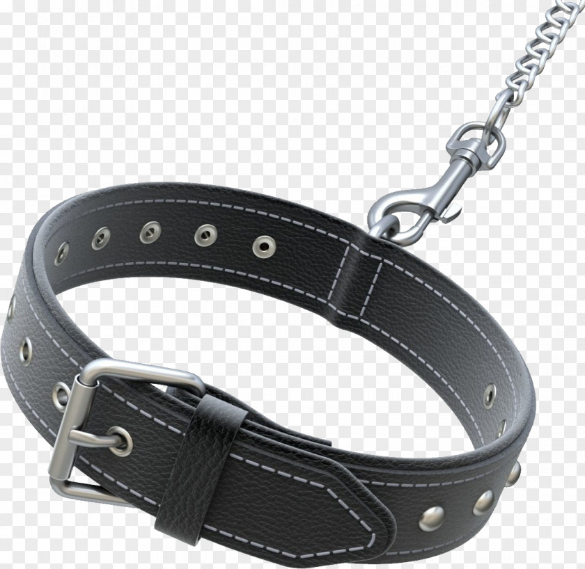 Belt Dog Collar PNG